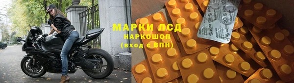 гидропоника Гусиноозёрск