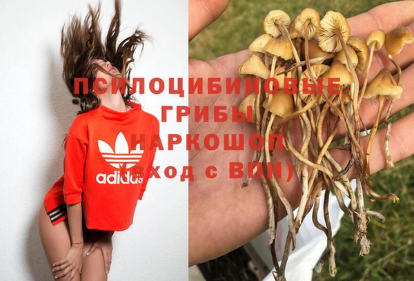 крисы Горняк