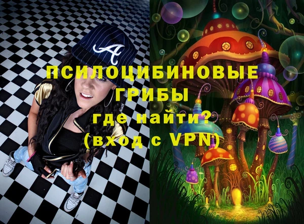 гидропоника Гусиноозёрск