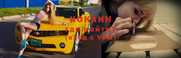 гидропоника Гусиноозёрск