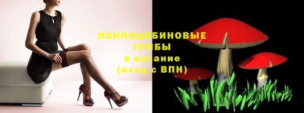 COCAINE Гусев