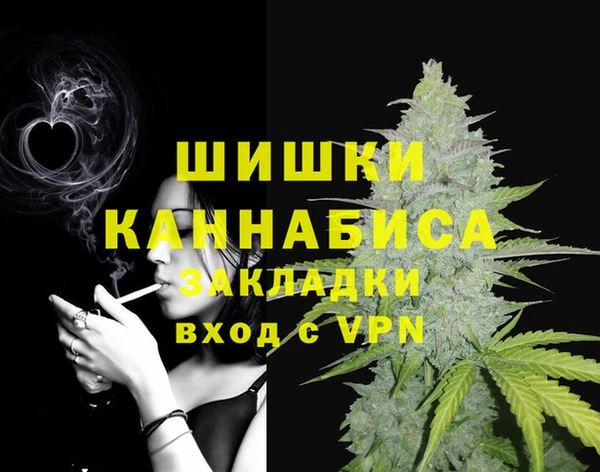 гидропоника Гусиноозёрск