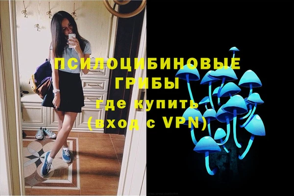спиды Гусь-Хрустальный