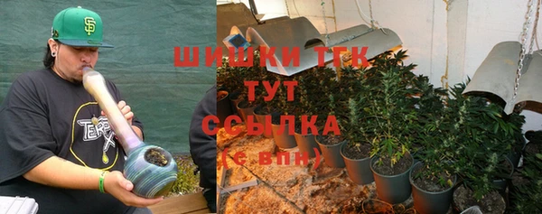 спиды Гусь-Хрустальный