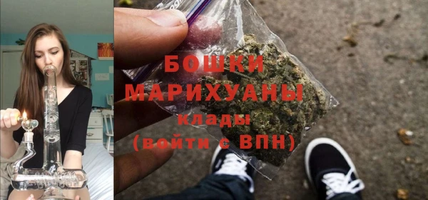 спиды Гусь-Хрустальный