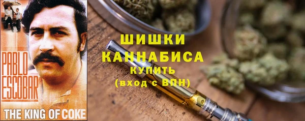 гидропоника Гусиноозёрск
